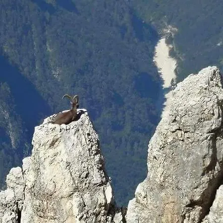 Fuente La Raja Apartamento